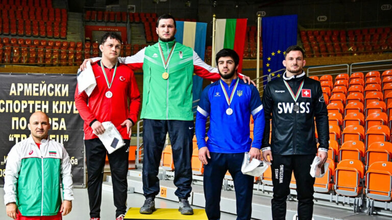 Modèle de bannière WEB Preview