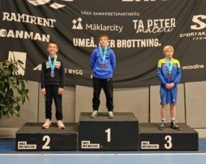 Umea 2026+3
