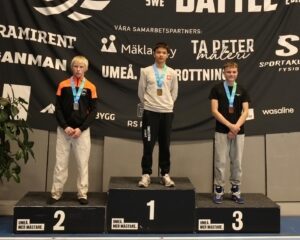 Umea 2026+8